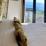 Amivera-mar, Vistas A La Ria De Vigo, * Cangas