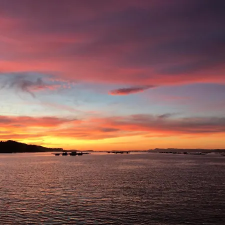 Lejlighed Amivera-mar, Vistas A La Ria De Vigo,
